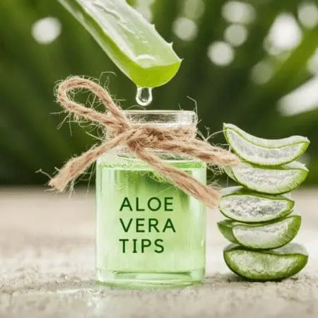 Adding Aloe Vera Gel to Your Skincare Routine - Lowen's Natural Skincare