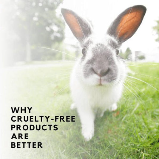 Why Choosing Cruelty Free Products Is The Better Option