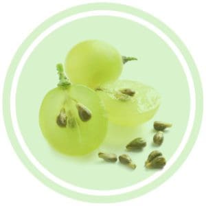 The Amazing Skincare Benefits of Grapeseed Oil